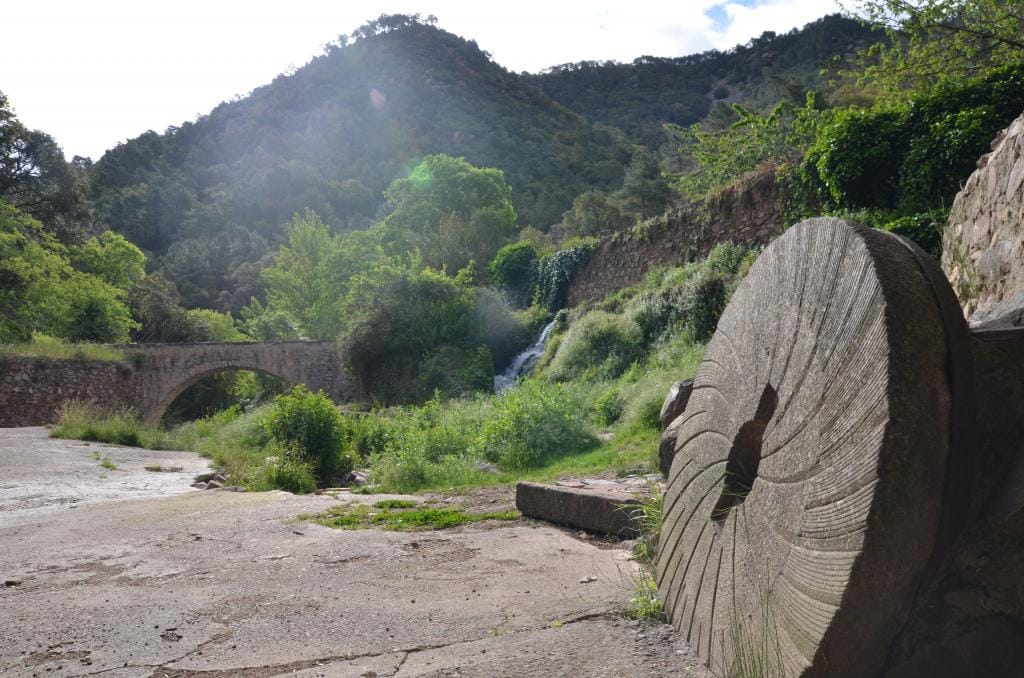 Senderisme en la selva d'Espadà