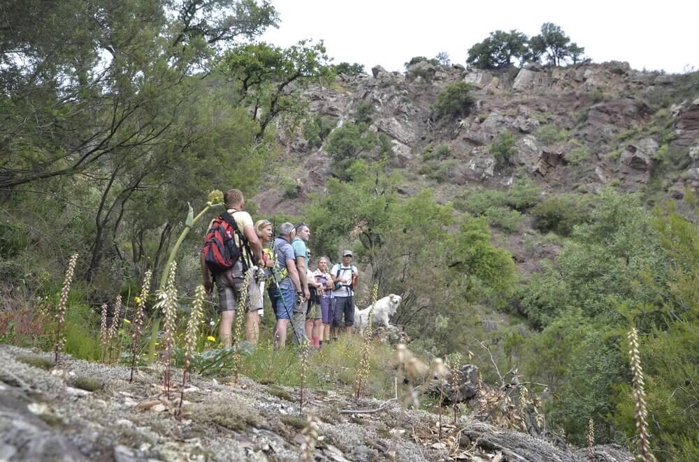 Senderismo interpretativo de invierno por la Serra d’Espadà con Itinerantur